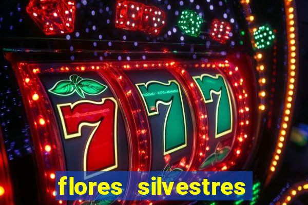 flores silvestres desbravadores desbravadores 25 flores silvestres e seus nomes