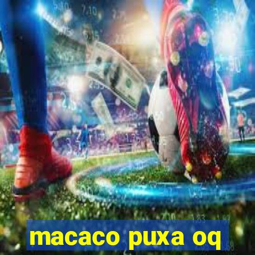 macaco puxa oq