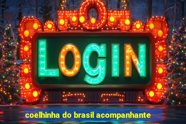 coelhinha do brasil acompanhante