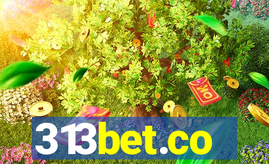 313bet.co