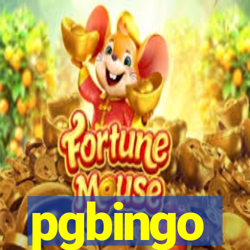 pgbingo