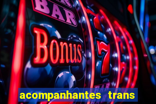 acompanhantes trans baixada fluminense