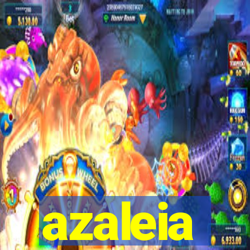 azaleia-br.com