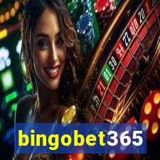 bingobet365