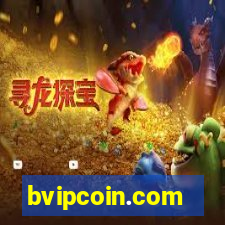 bvipcoin.com