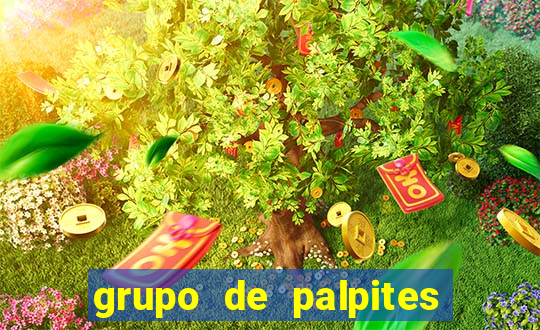 grupo de palpites de futebol telegram