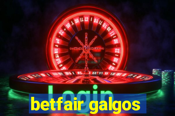 betfair galgos