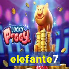 elefante7