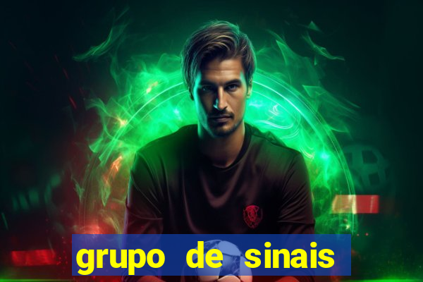 grupo de sinais fortune rabbit