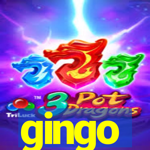 gingo