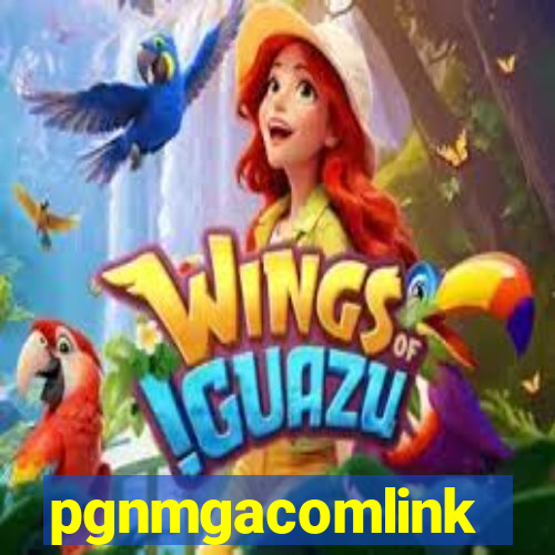 pgnmgacomlink