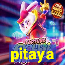 pitaya-bet