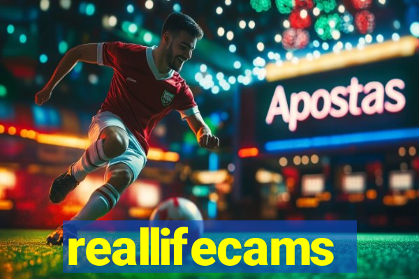 reallifecams