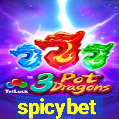 spicybet-4.com