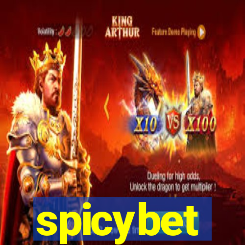 spicybet-4.com