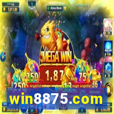 win8875.com